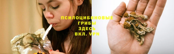 винт Алексин