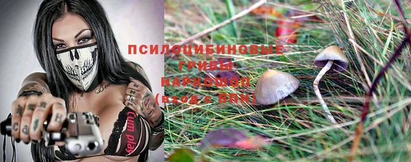 jwh Алзамай