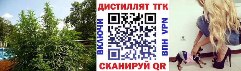 цена наркотик  Пугачёв  ТГК концентрат 
