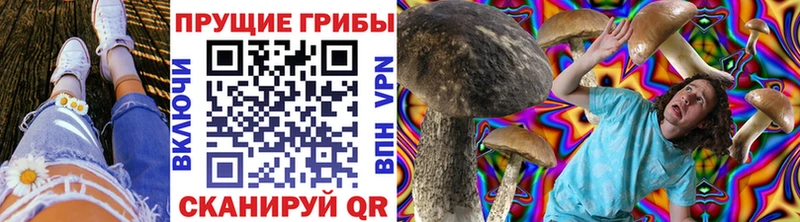 Псилоцибиновые грибы прущие грибы  Пугачёв 